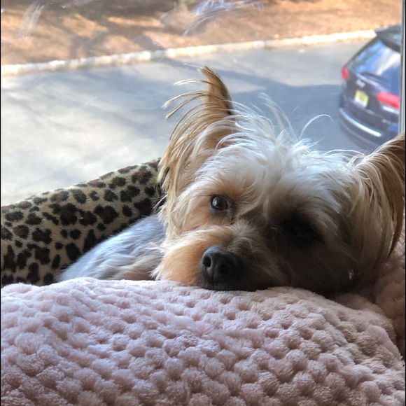 Meet your Posher, Lisa - Picture 1 of 1